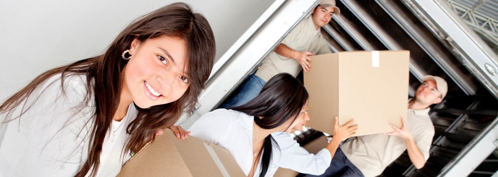 Professional Removalists Ravenswood NSW